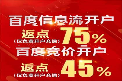 竞价广告的深度解析：以一知名品牌为例